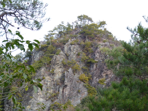d0170615_8281233.jpg