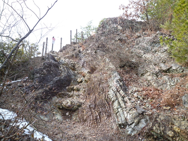 d0170615_829521.jpg