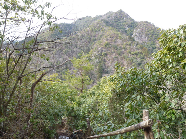 d0170615_8295241.jpg