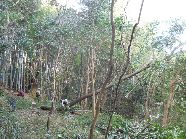 e0138321_1125391.jpg