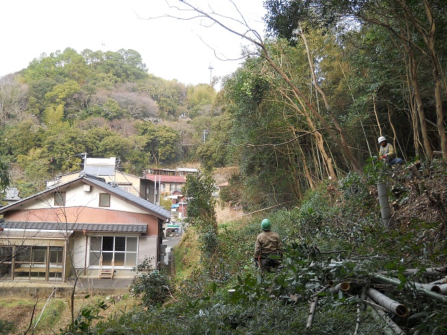e0138321_1135510.jpg