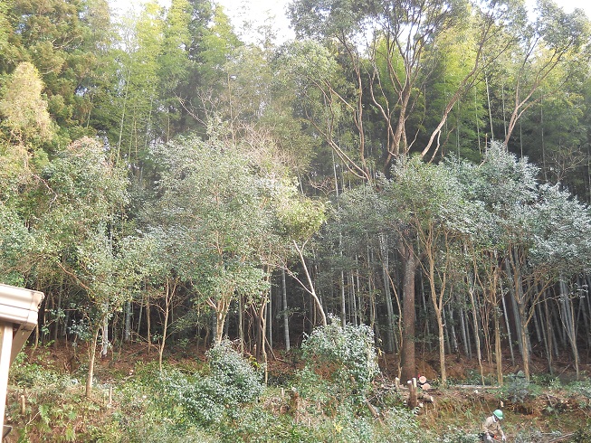 e0138321_1141229.jpg