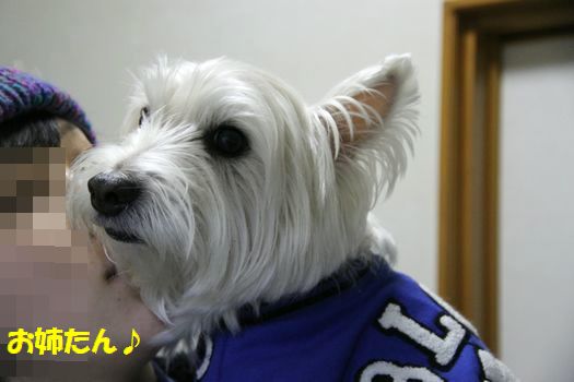 f0084422_15543660.jpg