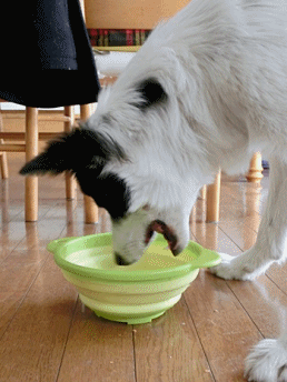 b0279527_23552893.gif
