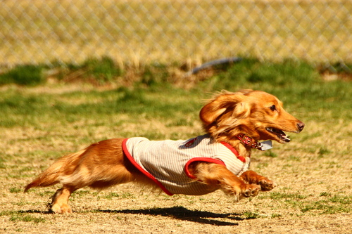 d0158028_18441032.jpg