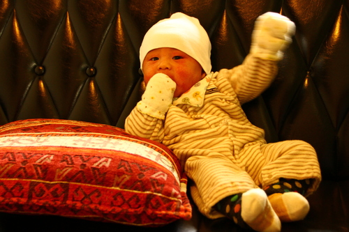 d0158028_18591782.jpg