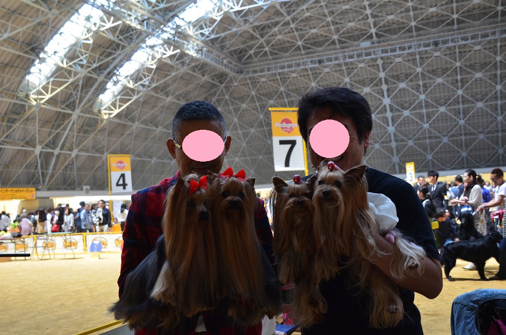 f0124830_15342923.jpg
