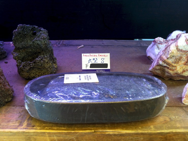 c0250835_10543416.jpg