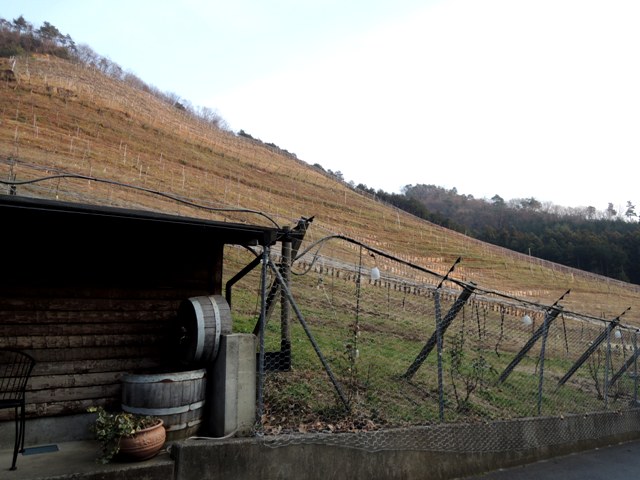 b0173754_113799.jpg