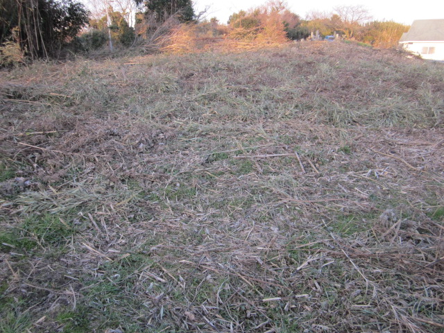e0181260_19254749.jpg