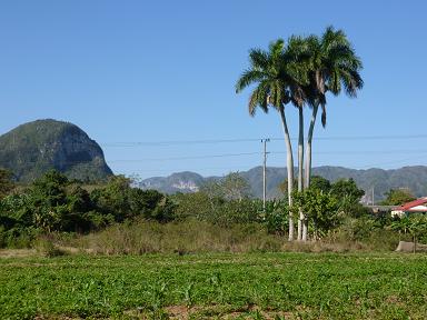 a0165963_11105124.jpg