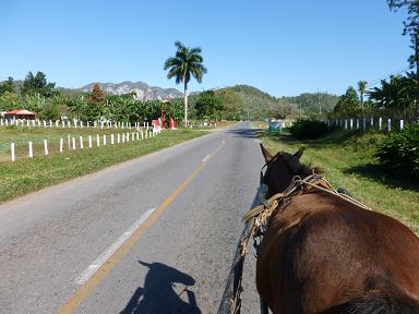a0165963_11162959.jpg