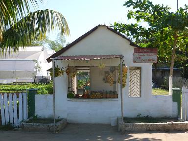 a0165963_11164487.jpg