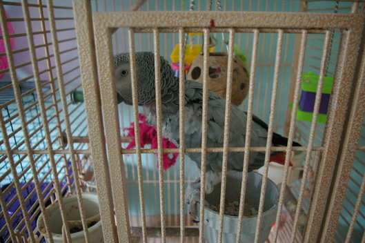 f0112080_19425697.jpg