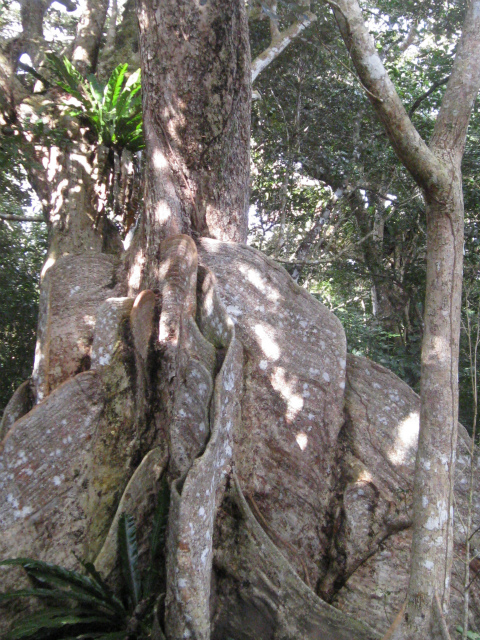 c0138182_1543034.jpg