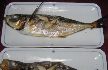 f0003283_923084.jpg