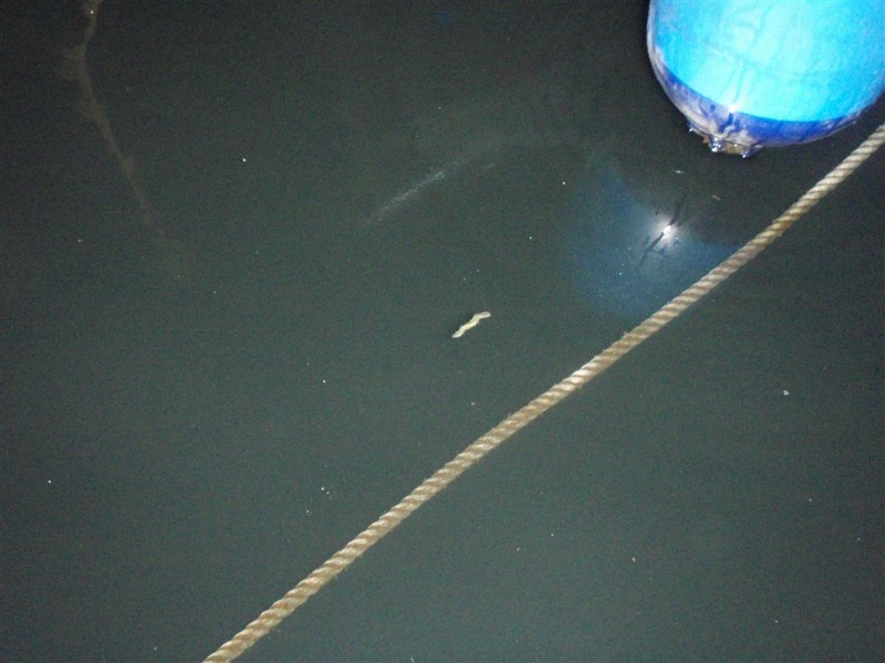 c0177497_21114446.jpg