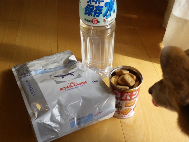 d0104705_14442815.jpg