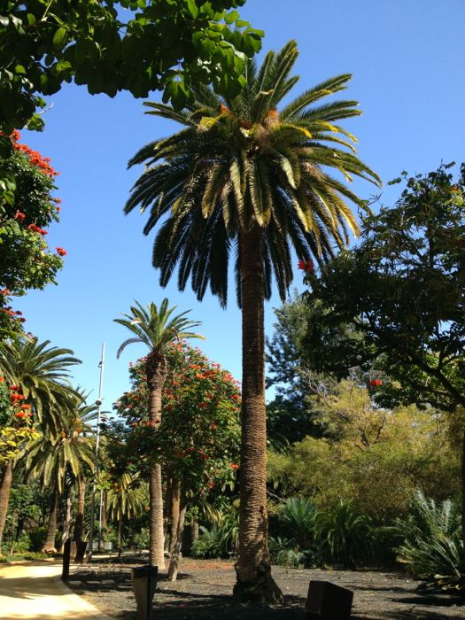 c0167813_2315542.jpg