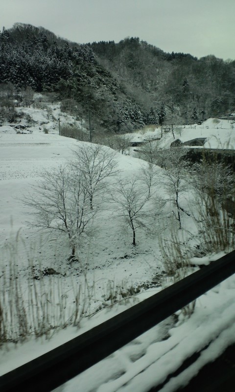 b0075817_9272547.jpg