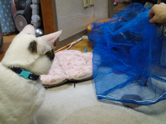 a0206019_273667.jpg