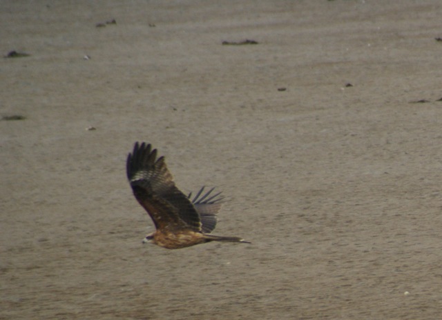 f0143119_0104456.jpg