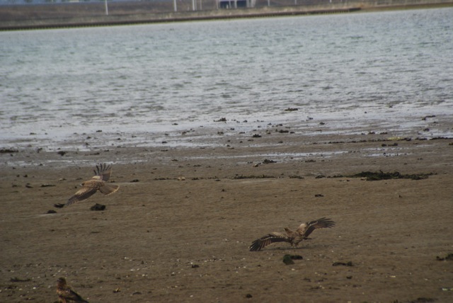 f0143119_0121833.jpg