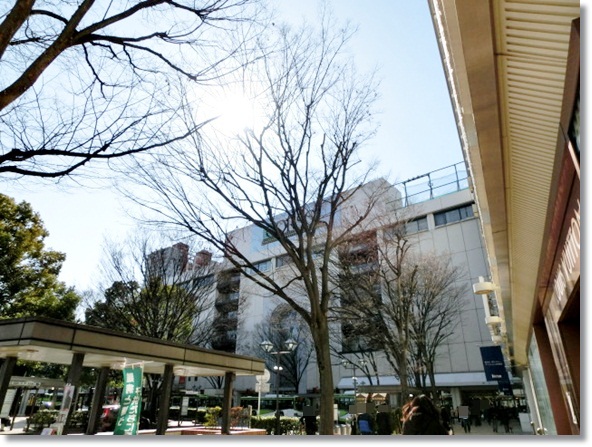 f0182121_15543138.jpg