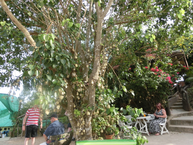 f0001835_23162911.jpg