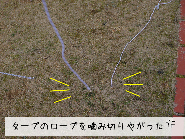 f0008935_23312043.jpg