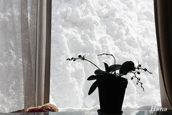 c0249836_1341346.jpg