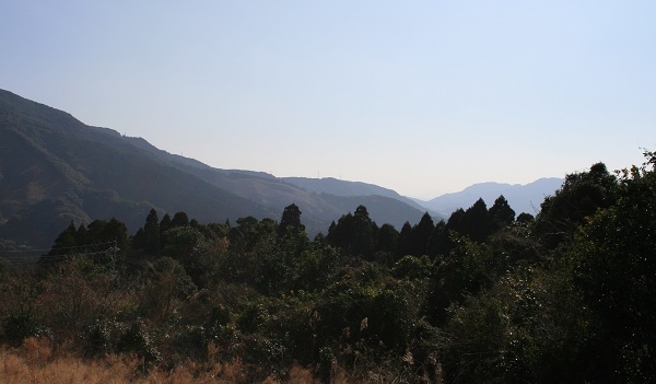 f0042737_14552030.jpg