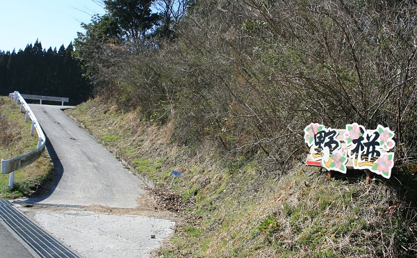 f0042737_1455270.jpg