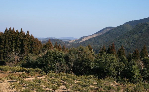 f0042737_14572683.jpg