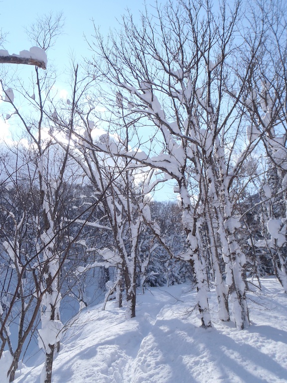 d0231339_17271218.jpg