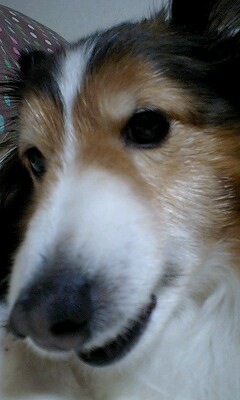 f0210439_1544853.jpg