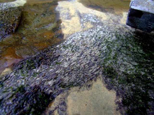 e0290546_22493468.jpg