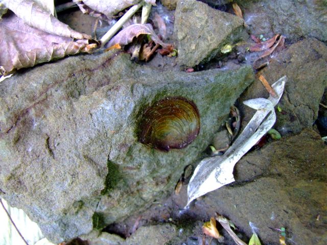 e0290546_22495335.jpg