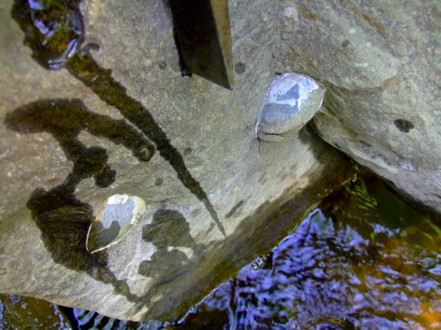 e0290546_22505897.jpg