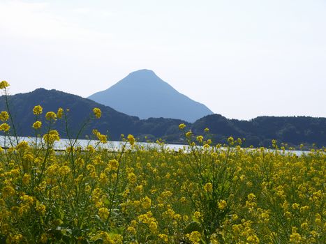 a0148349_12562220.jpg