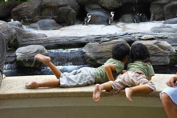 a0090451_22221130.jpg