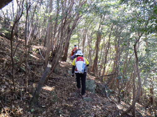 c0179351_2018646.jpg