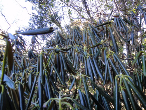 c0179351_20195226.jpg