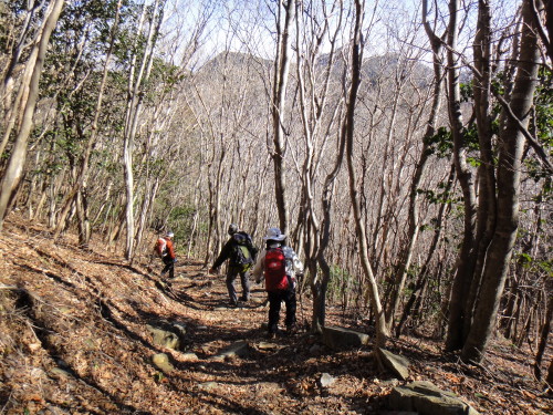 c0179351_20203630.jpg