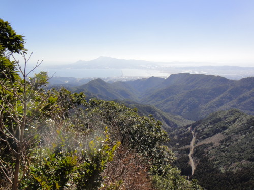 c0179351_20262565.jpg