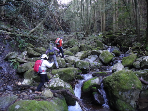 c0179351_2075560.jpg