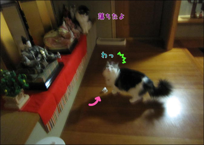 d0139352_16374638.jpg