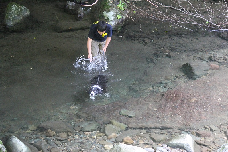 c0203653_19375057.jpg