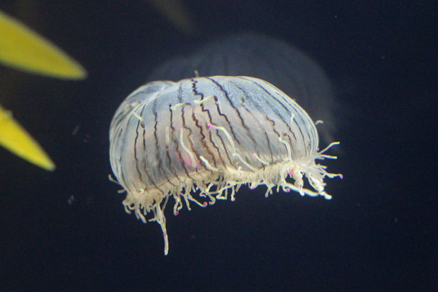 e0294253_1015714.jpg