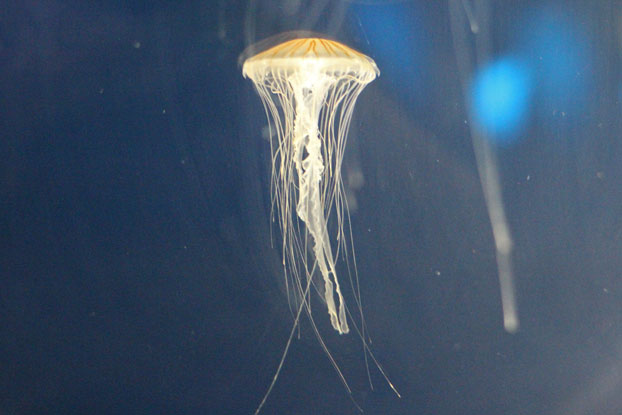 e0294253_10171556.jpg
